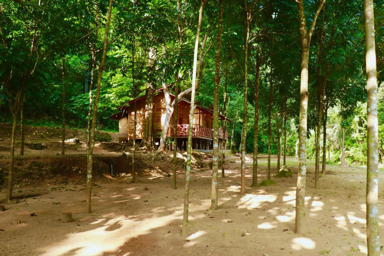 Paradise Eco Garden Kitulgala Exterior foto