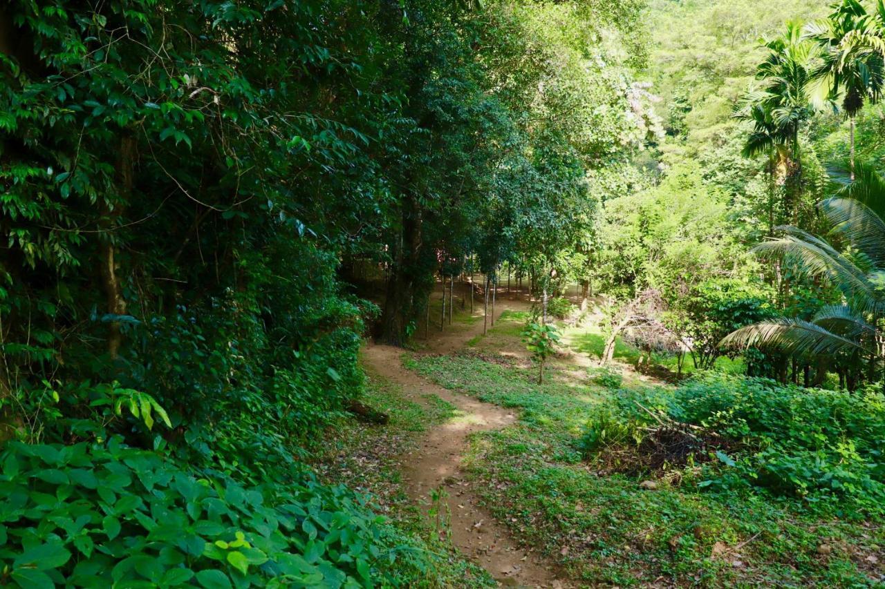 Paradise Eco Garden Kitulgala Exterior foto